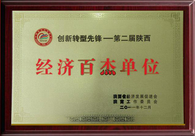 第二屆陜西經(jīng)濟(jì)百杰單位獎(jiǎng)